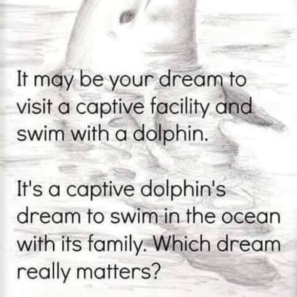 Meet your Posher, Den - Picture 3 of 3